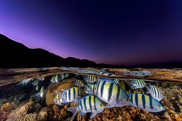 Sunset upon the Red Sea thumbnail