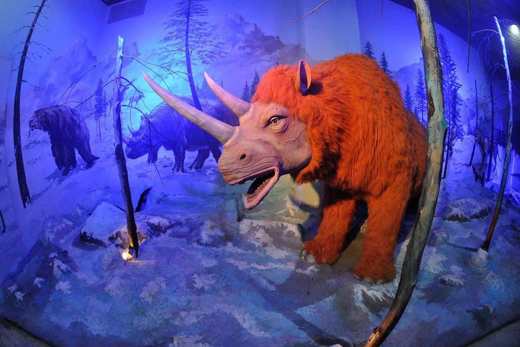 Ice Age Mammals