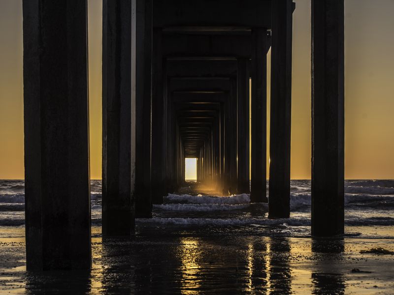 Scripps pier | Smithsonian Photo Contest | Smithsonian ...