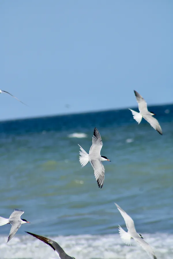 We go as one thumbnail