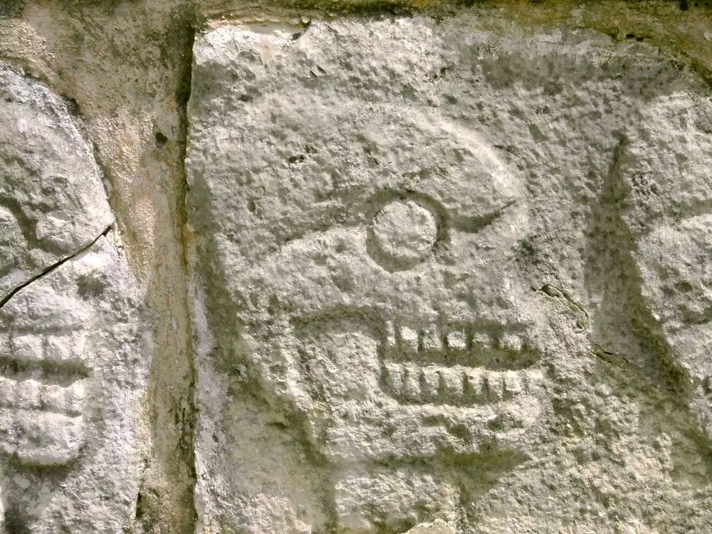 skull