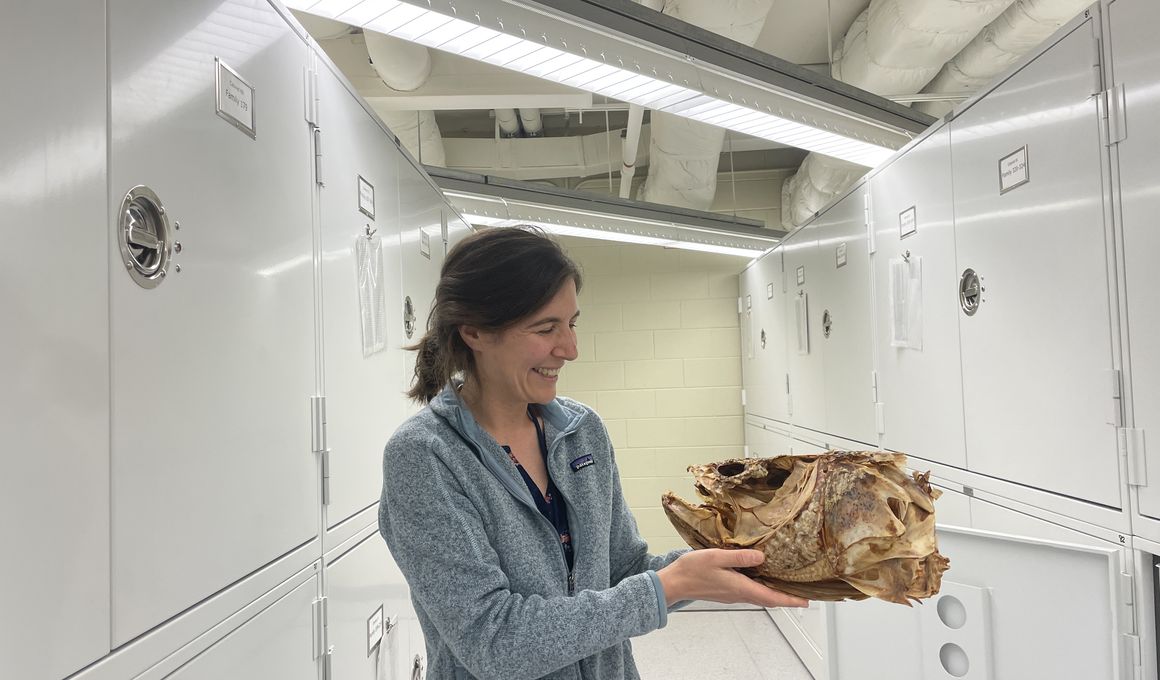 National Museum of Natural History Blog | Smithsonian Magazine