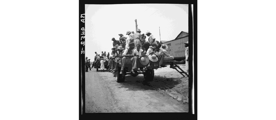 Peach pickers being driven to the orchards, Muscella, Georgia, 1936, photographed by Dorothea Lange