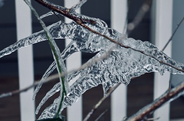 Texas Freeze 2021 Ice Sculpture thumbnail