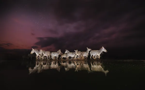 Happy Ending at Sunrise Drinking thumbnail