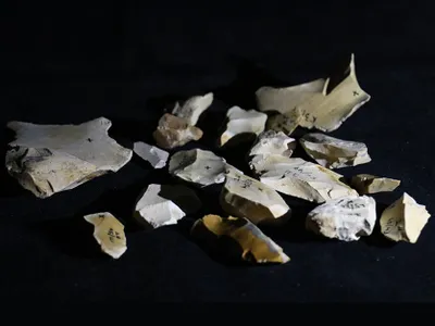 Researchers analyzed flint tools found at the Evron Quarry in Israel.