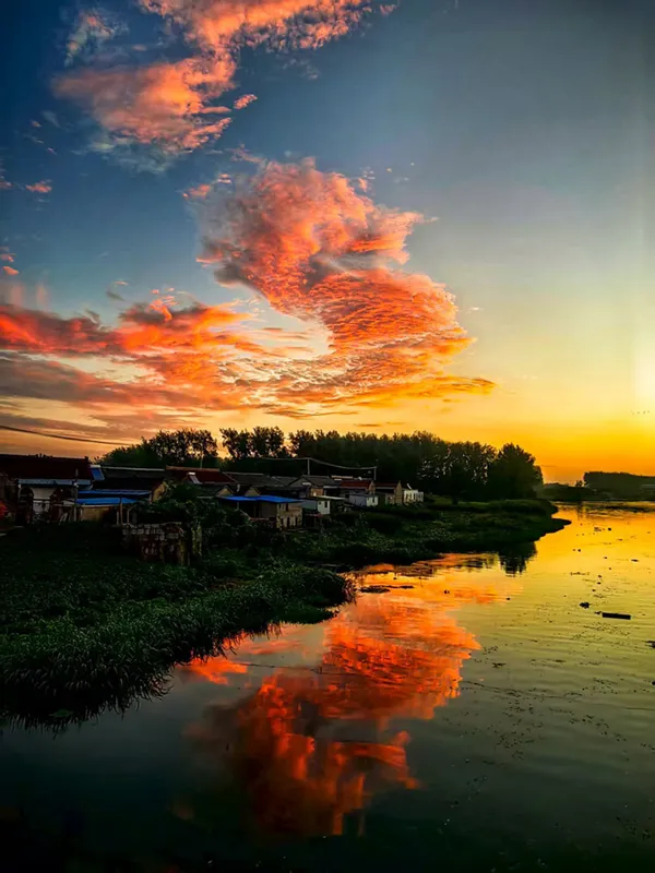 Two dragons thumbnail