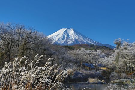 Mount Fuji is beautiful when viewed from a distance. But it is also an active volcano that, if it erupts, could displace more than a million people in Japan.