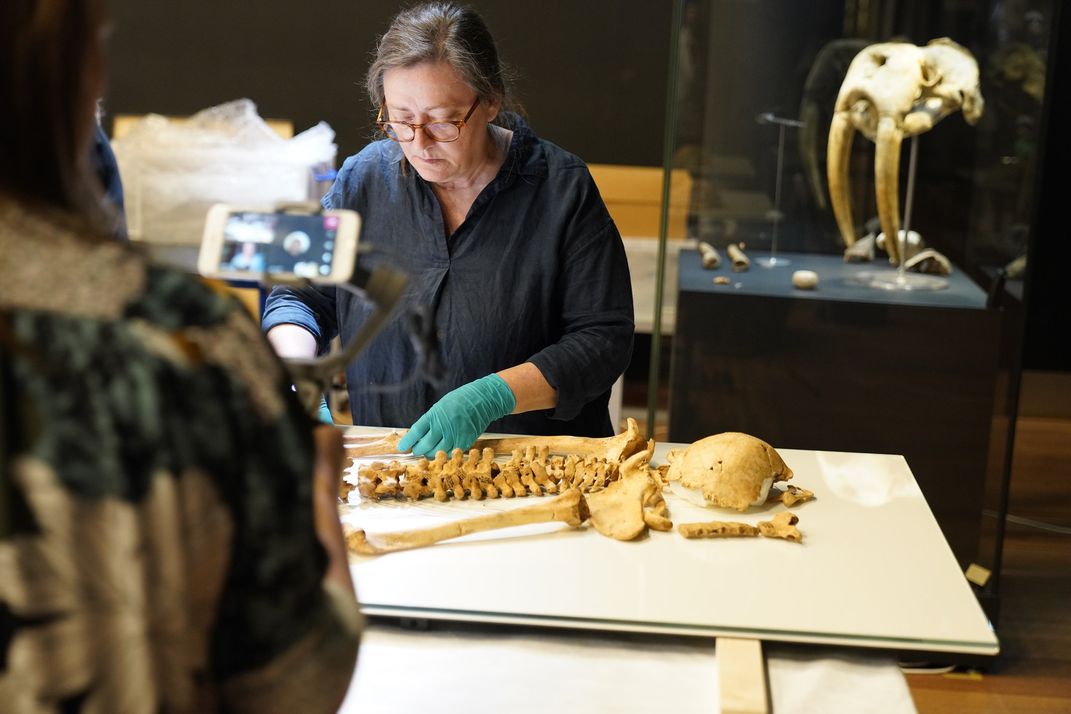 Museum worker with skeleton