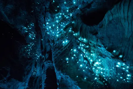 Photographer Joseph Michael explored the 30-million-year old limestone caves of New Zealand's North Island, a favored spot for glowworms, to create these dazzling long-exposure shots.