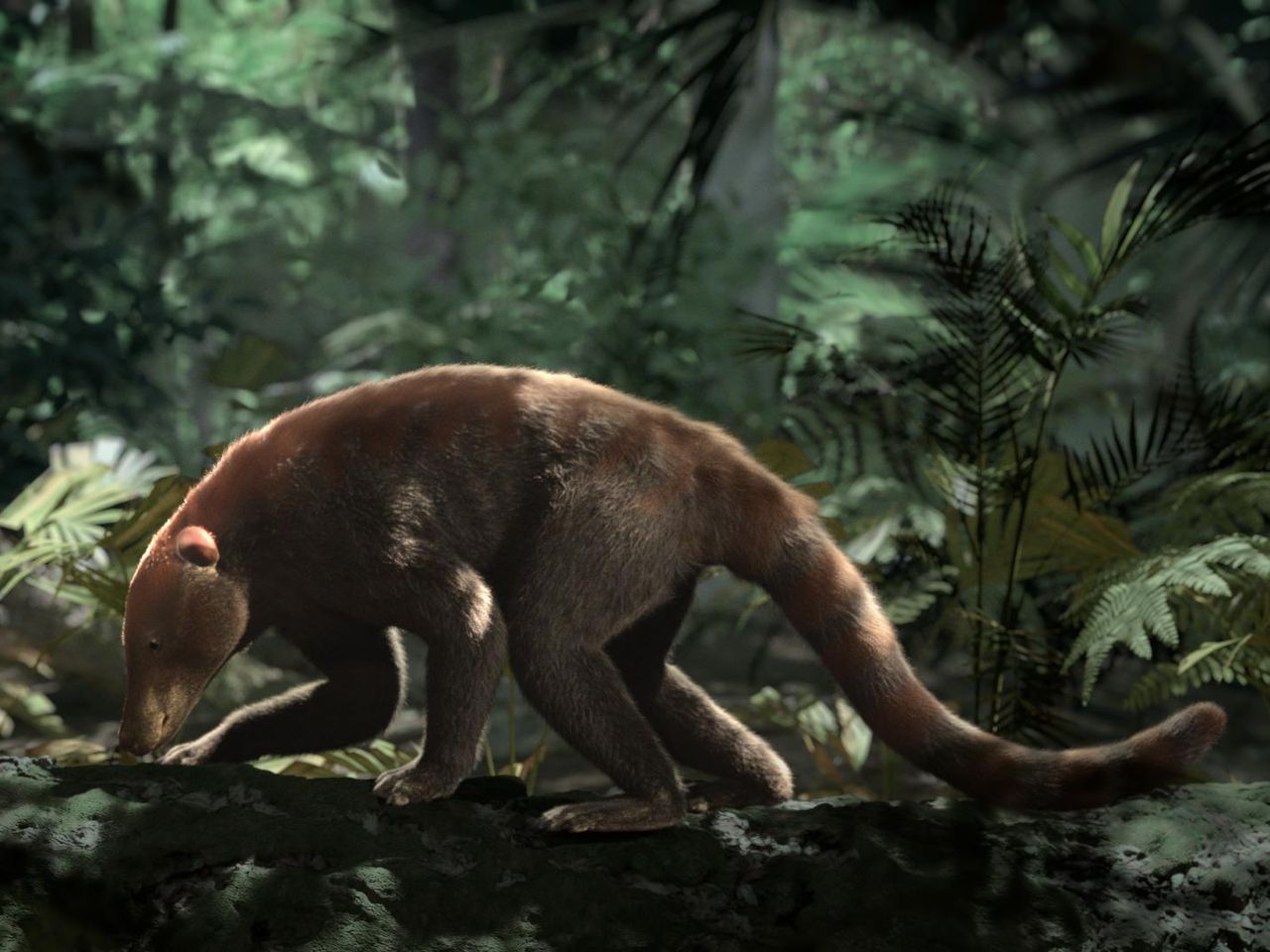 First Mammal On Earth Timeline