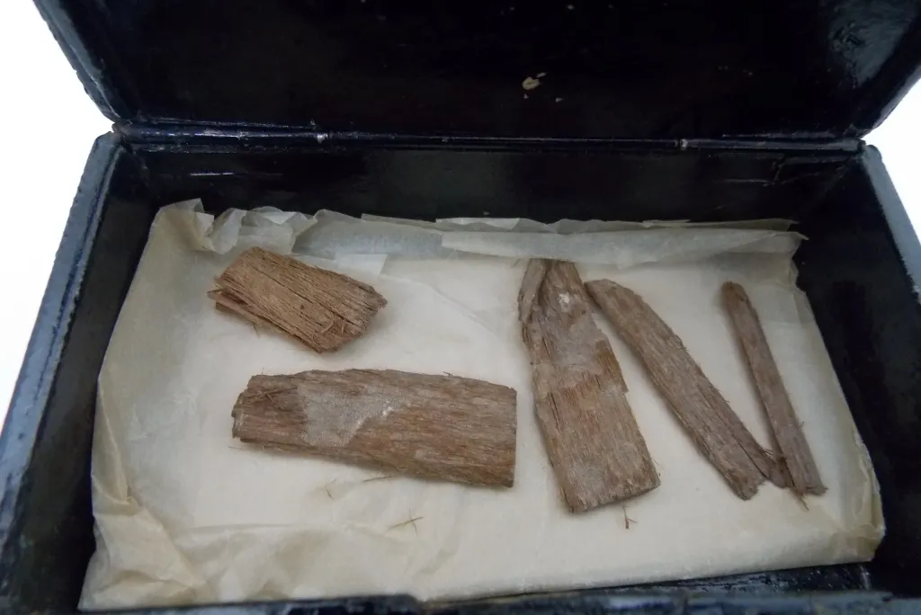 wood fragments
