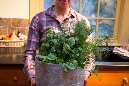 Seedsheet bills itself as the best way to know where your food comes from by allowing you to grow it yourself. The container gardens come with pre-selected plants that can spice up a salad, garnish a cocktail or fill a taco.