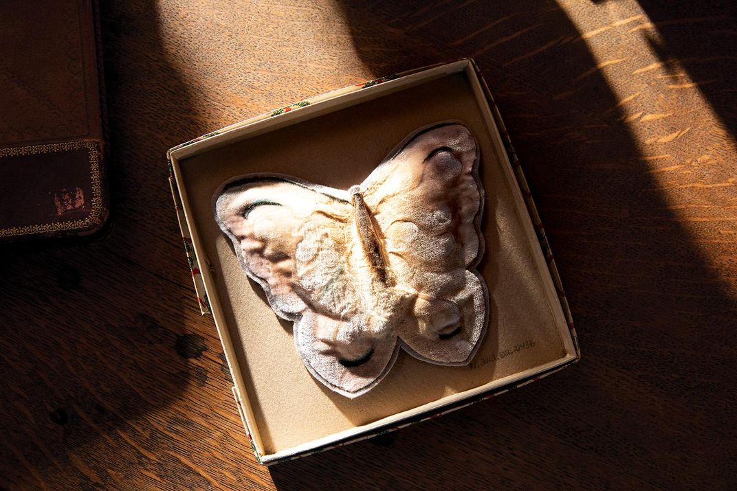 A decorative fabric moth