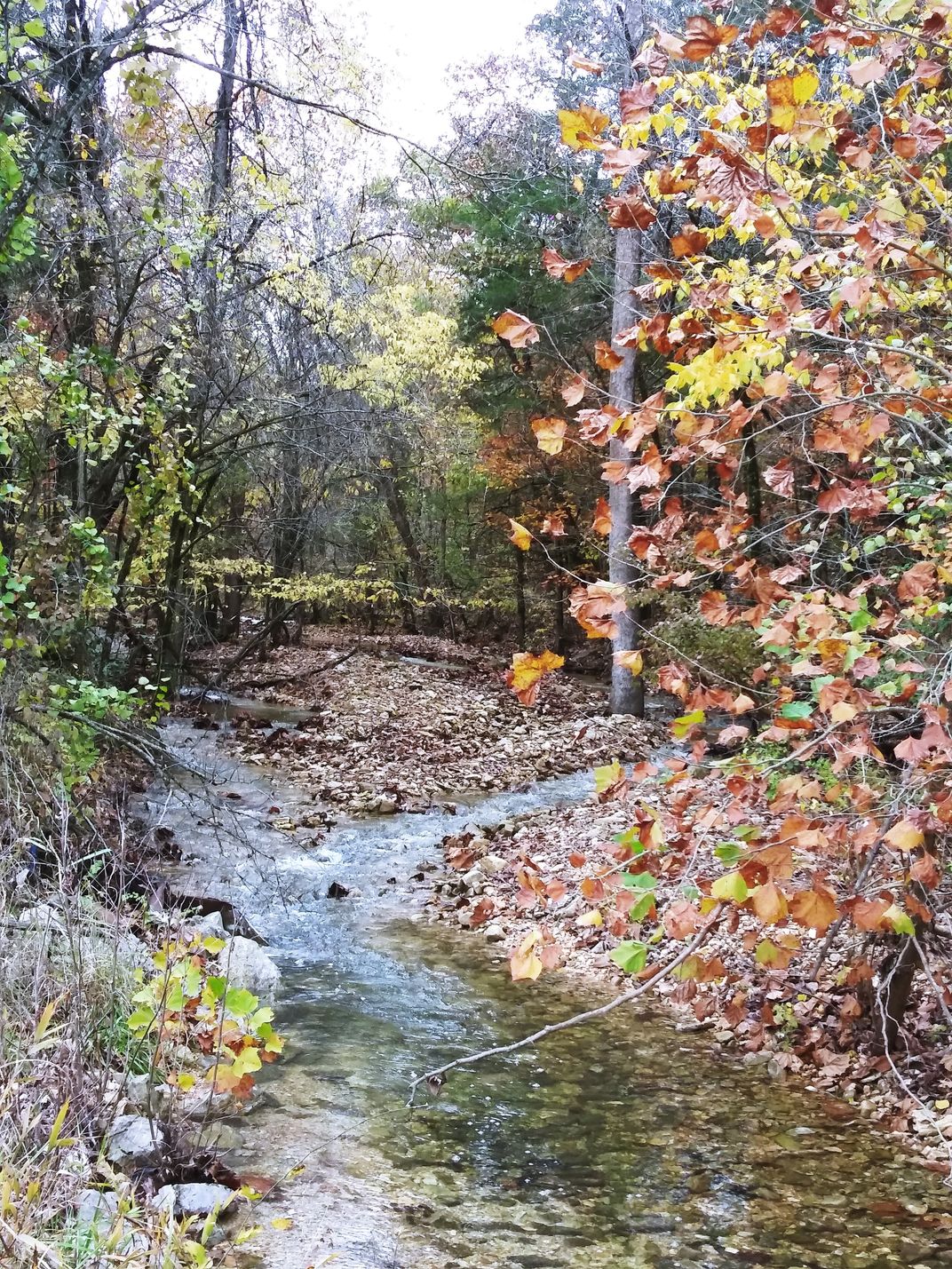 Southern touch of fall | Smithsonian Photo Contest | Smithsonian Magazine