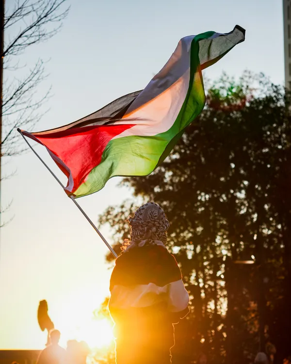 A Child Raising the Palestinian Flag at Sunset thumbnail