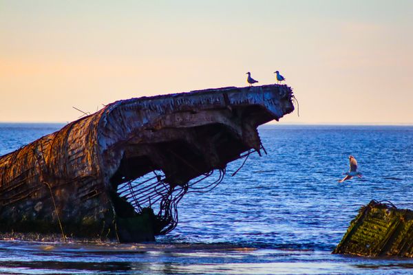 Seagull Shipwreck thumbnail