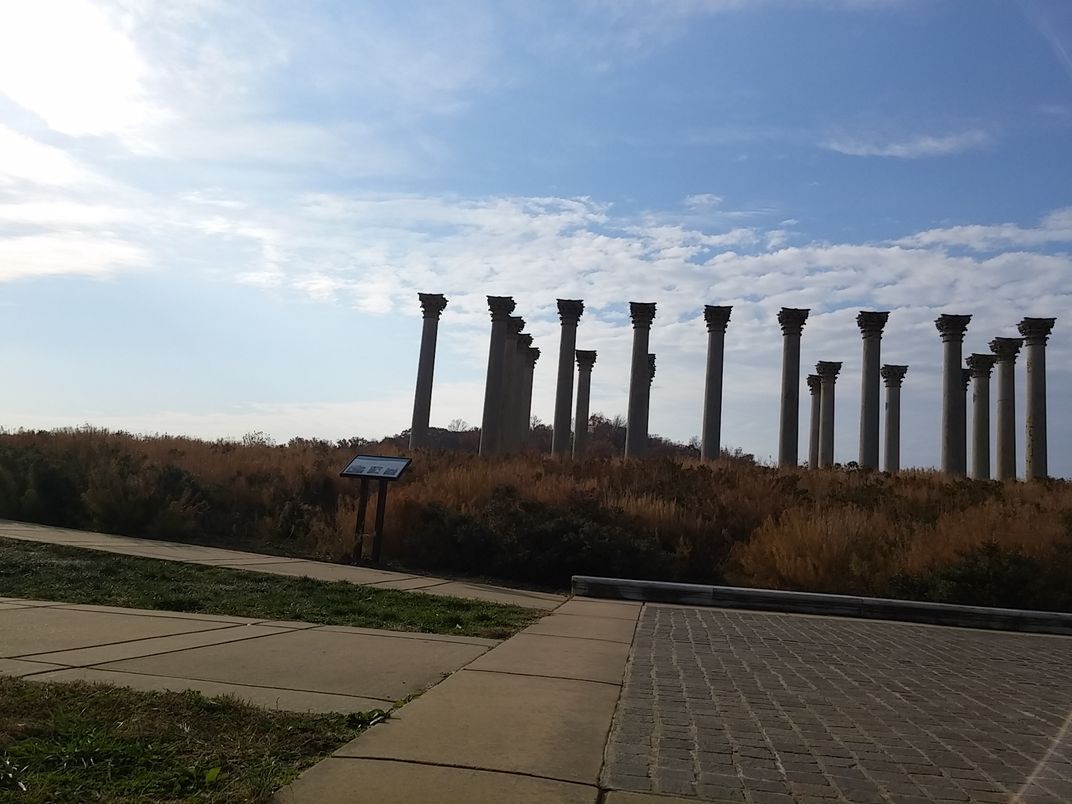 Pillars of strength. National arboretum Smithsonian Photo Contest