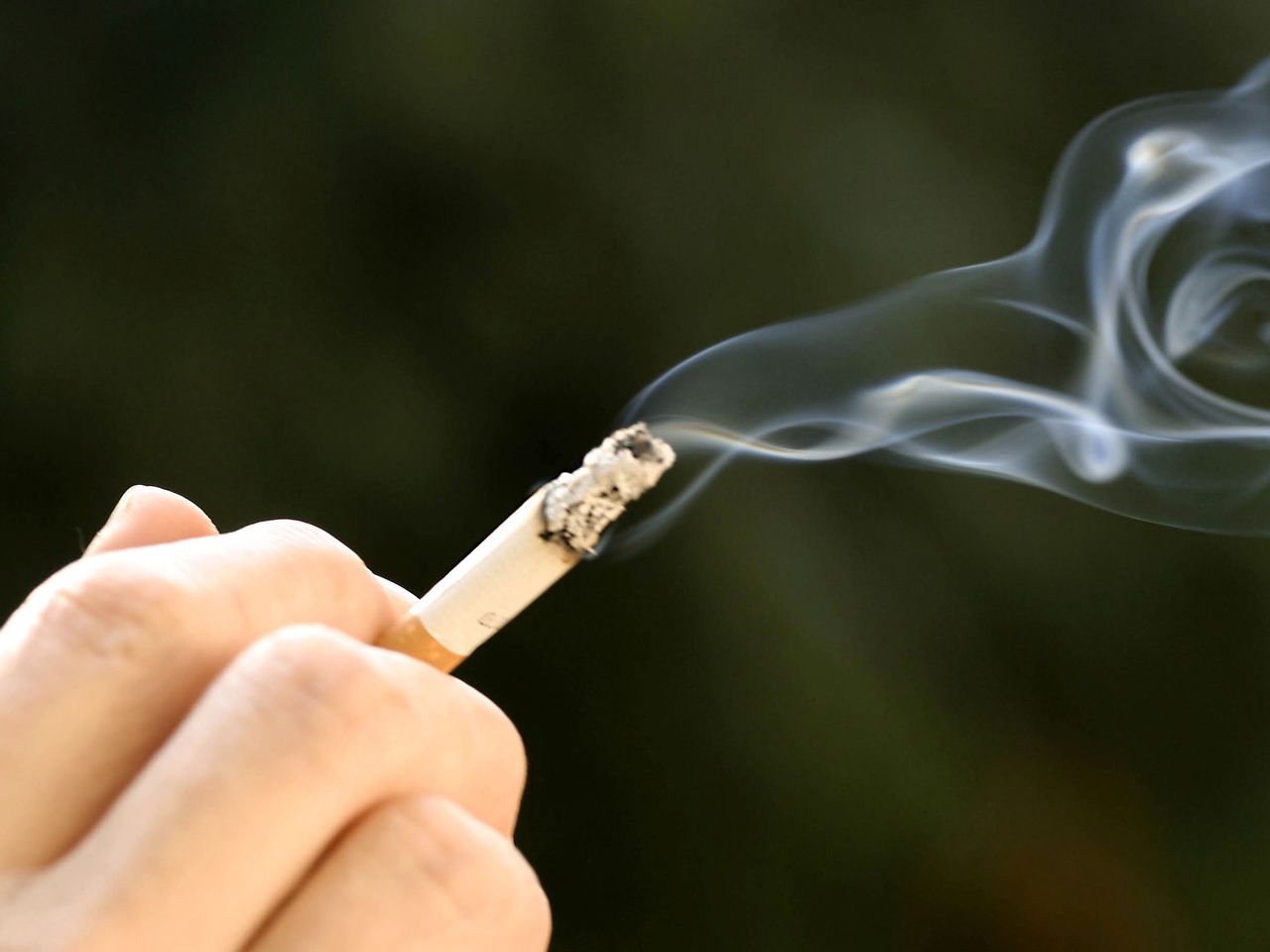 what is the best air freshener for cigarette smoke Air Freshener for Smokers: Eliminate Smoke Odors Instantly