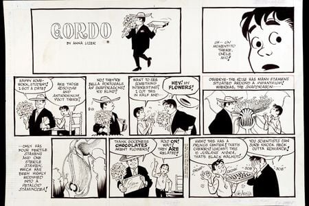 Gordo comic strip. Uncle Mio (wearing a suit and carrying a box of chocolates bouquet of flowers) talks to his nephew, who explains the qualities of different types of flowers. Behind the two figures appear precise, scientific diagrams of flowers.