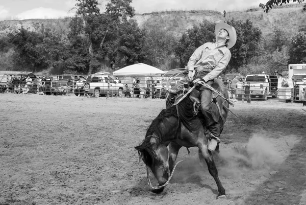 Ranch bronc ride thumbnail