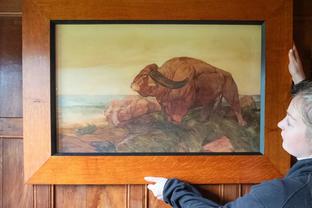 The Return of the Buffalo Herd