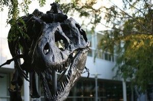 20110520083143google-campus-tyrannosaurus-300x199.jpg