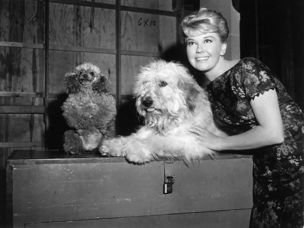 doris day