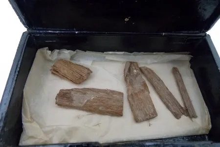 A curatorial assistant found the wood fragments in a misfiled cigar box bearing the image of Egypt's old flag.