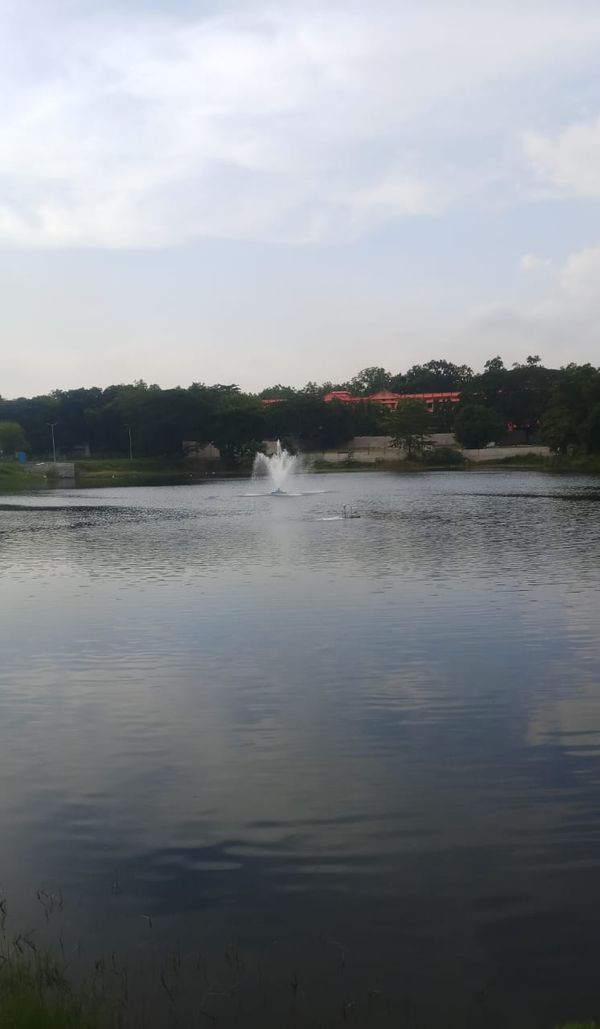 Serenity after a heavy rainfall. thumbnail