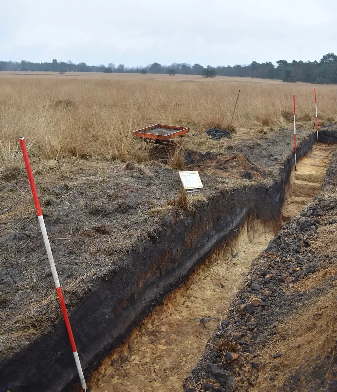 ditch
