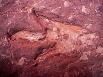 This dinosaur footprint was found in sandstone at Dinosaur Track at Hackberry Canyon in Grand Staircase-Escalante National. A proclamation recently signed by President Trump would reduce the protected area by half.