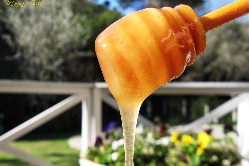 Honey