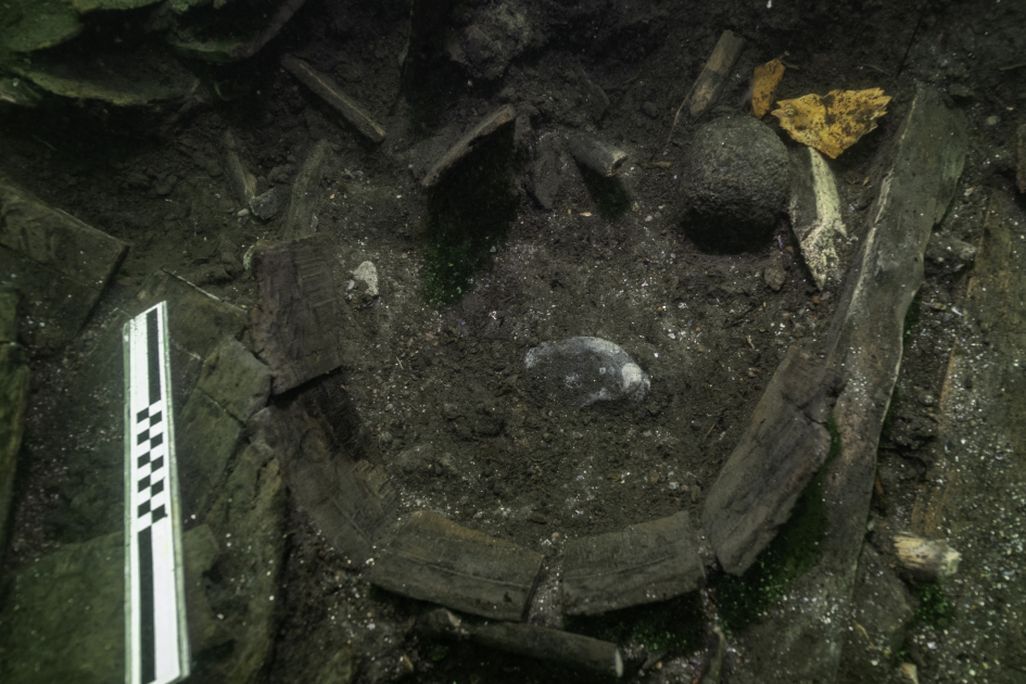 Shipwreck sturgeon
