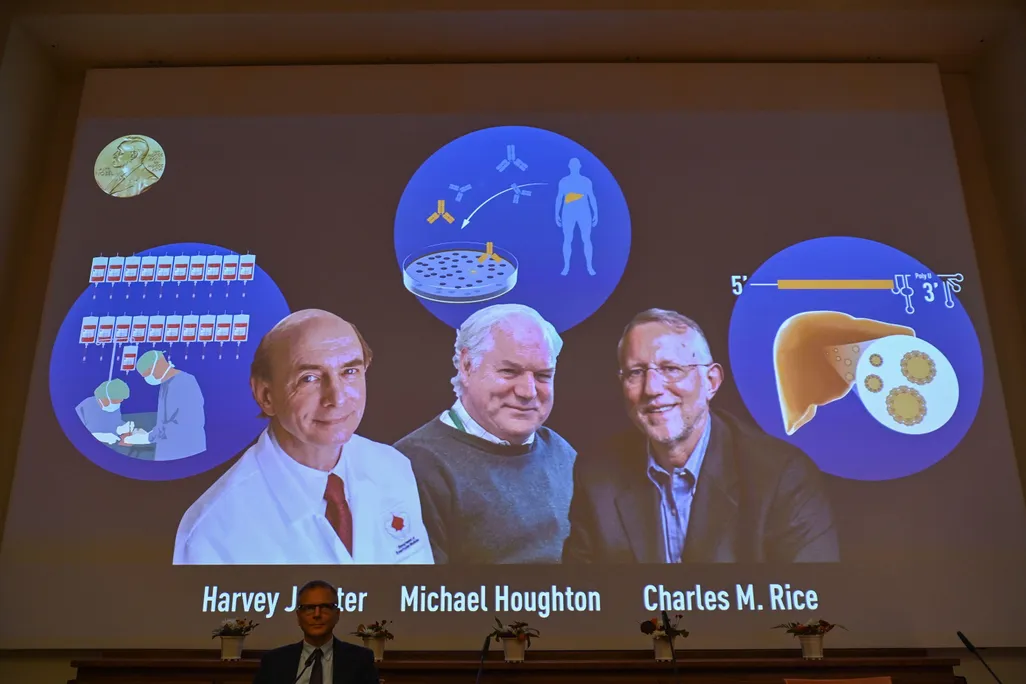 Nobel Committee member Patrik Ernfors sits in front of a screen displaying the winners of the 2020 Nobel Prize in Physiology or Medicine, (L-R) American Harvey Alter, Briton Michael Houghton and American Charles Rice, during a press conference
