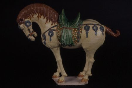 A horse touted as being from the Tang dynasty, but with only one genuine part in the unglazed underside.