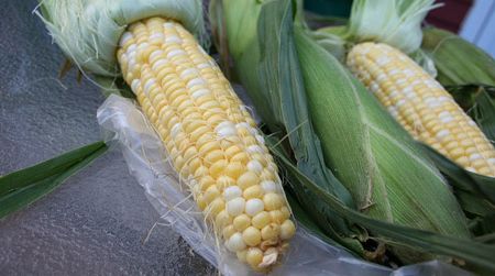 What to do with the corn from your local market?