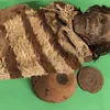DNA Preserved in Lice Glue Reveals South American Mummies’ Secrets icon