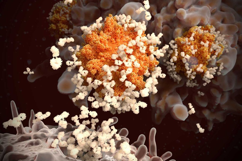 Intranasal Vaccines