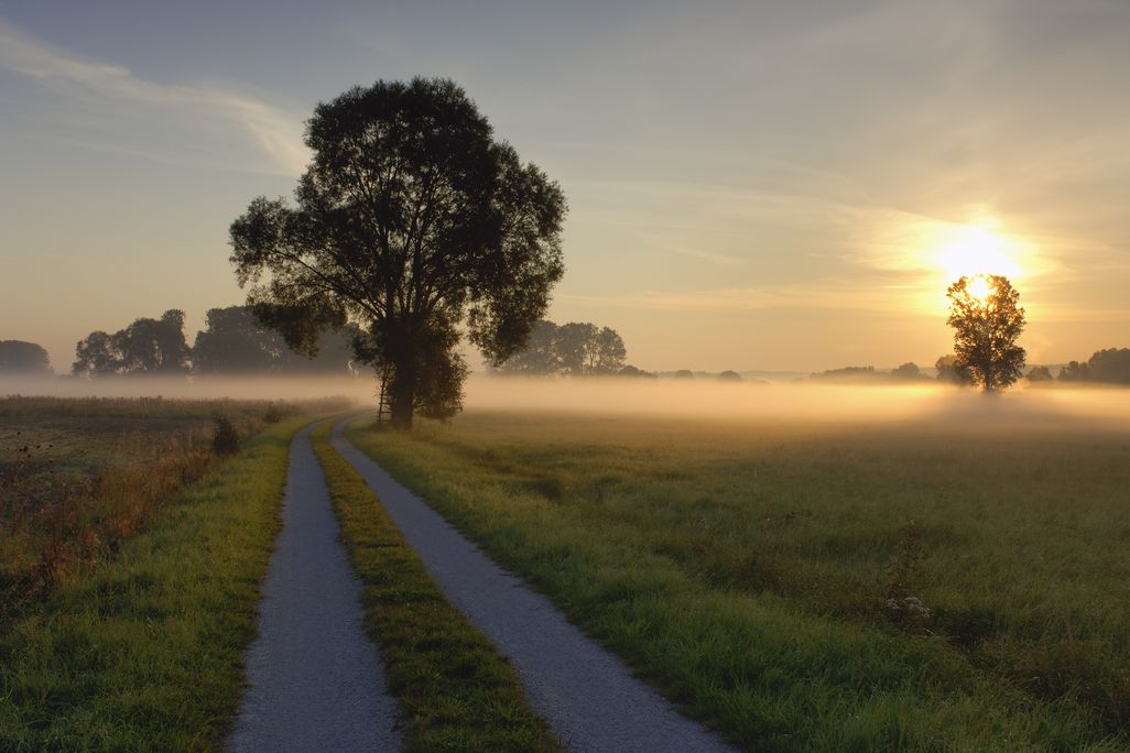lovely road