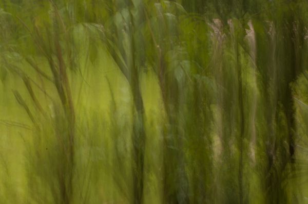 Intentional camera movement on a rainy day thumbnail