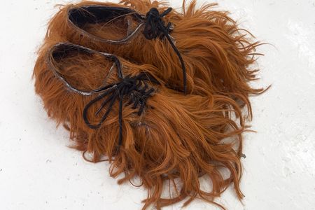 Wig Shoes, Chunxiao Qu, 2017