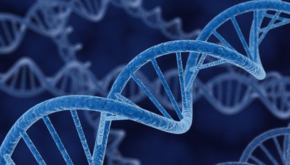 Google Researchers Say Their New A.I. Tool AlphaGenome Can Help Decode the Human Genetic Instruction Book
