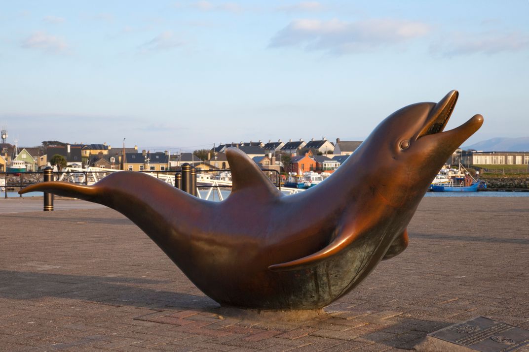 A Dolphin Has Been Living Solo in This Irish Harbor for Decades