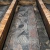 Well-Preserved Tudor Wall Paintings Discovered Beneath Plaster at Medieval Manor icon