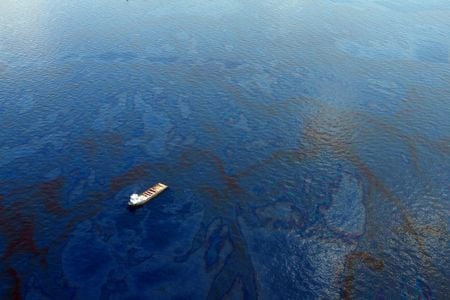 Microbes were used in the cleanup of the Deepwater Horizon oil spill.