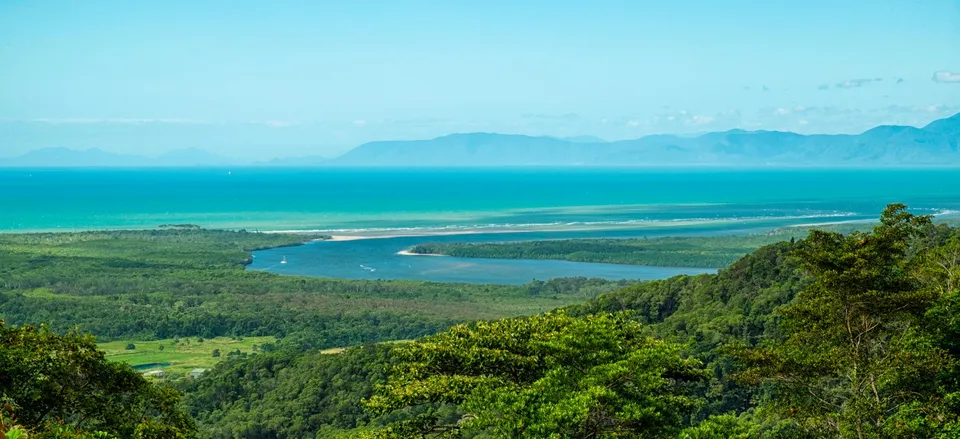  Daintree River and Rainforest 
