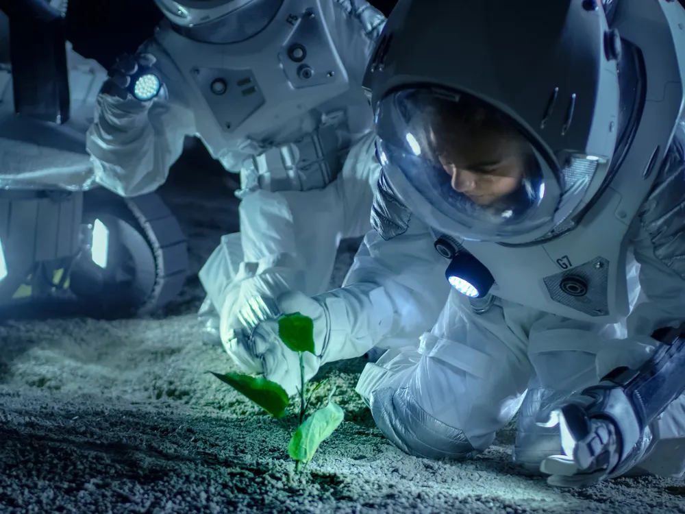 astronaut looks at healthy plant sprouting out of the ground on the Moon