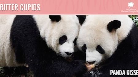 Valentine’s Day–it’s not just for humans.