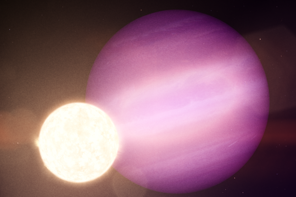 An illustration of a giant purple planet with pale stripes behind a small white star, a glowing ball of hot gas that appears in this illustration to be about 1/7 of the planet's size